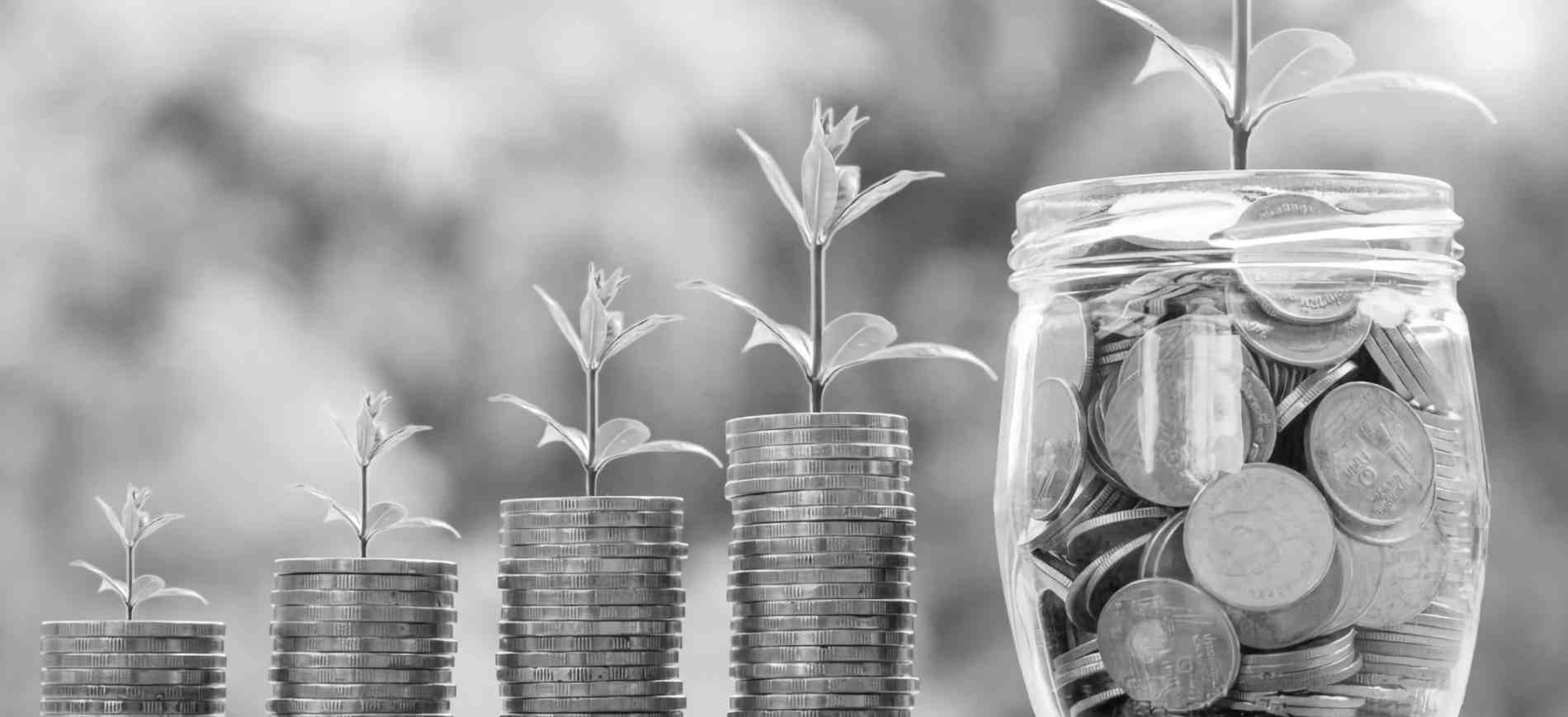 Tree seedling in hand, new hope
